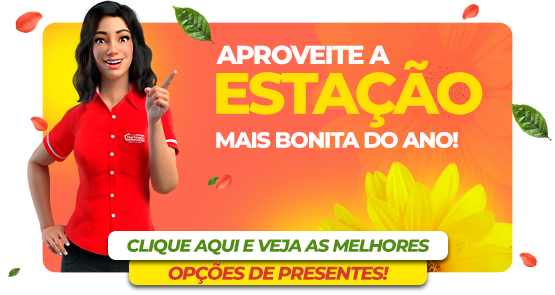 RODAPÉ DIREITA