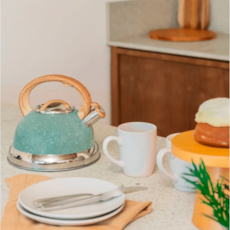 Chaleira Brinox Com Apito Roma 2,7L 4875/111 - Verde Chaleira Brinox Com Apito Roma 2,7L 4875/111 - Verde